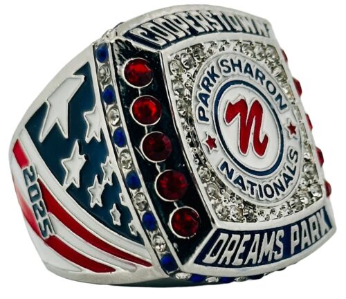 Past Custom Team Rings - Park Sharon Nationals - Left of Cooperstown Diamond Championship Ring